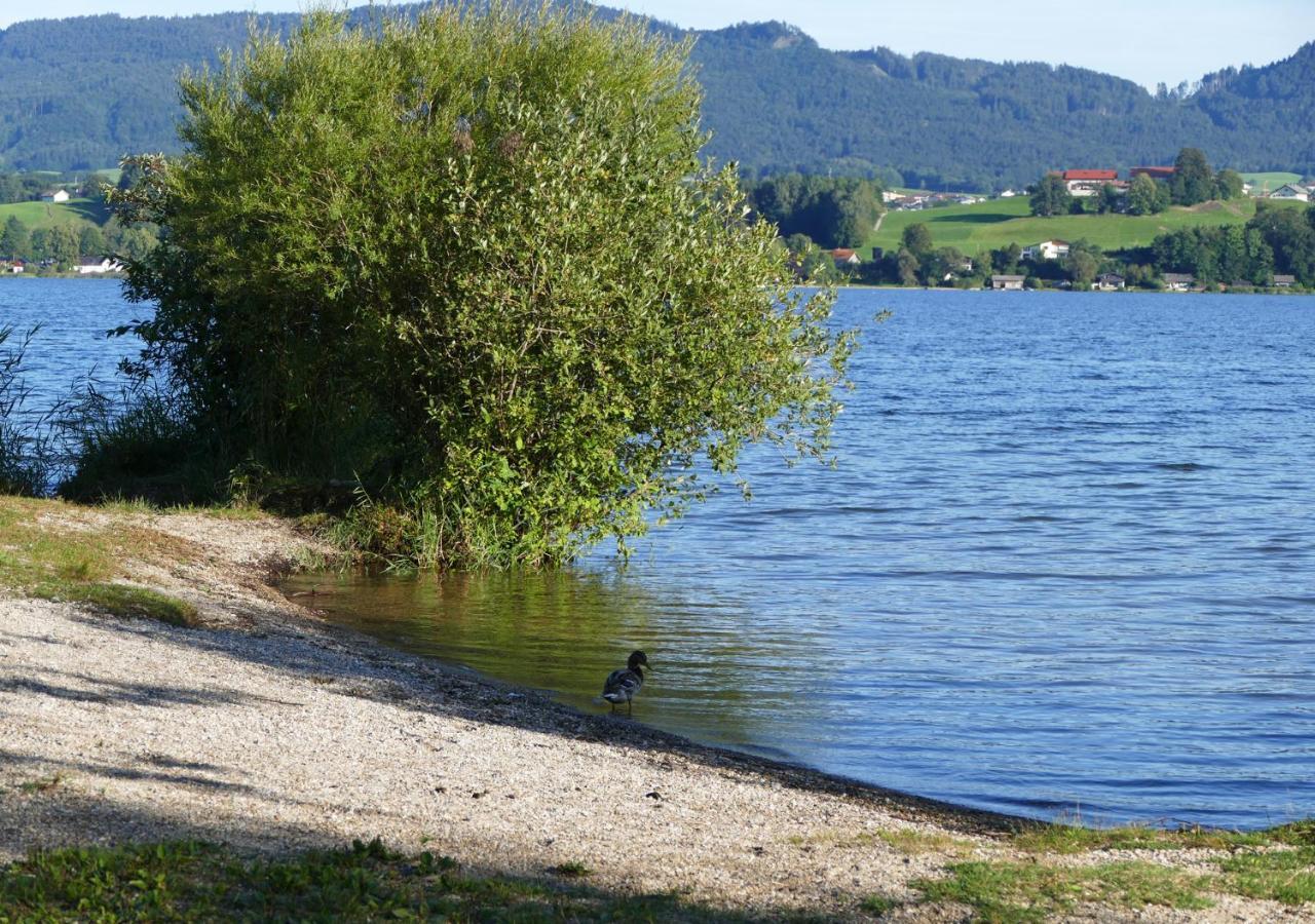 Refugio Del Lago Seekirchen am Wallersee Bagian luar foto