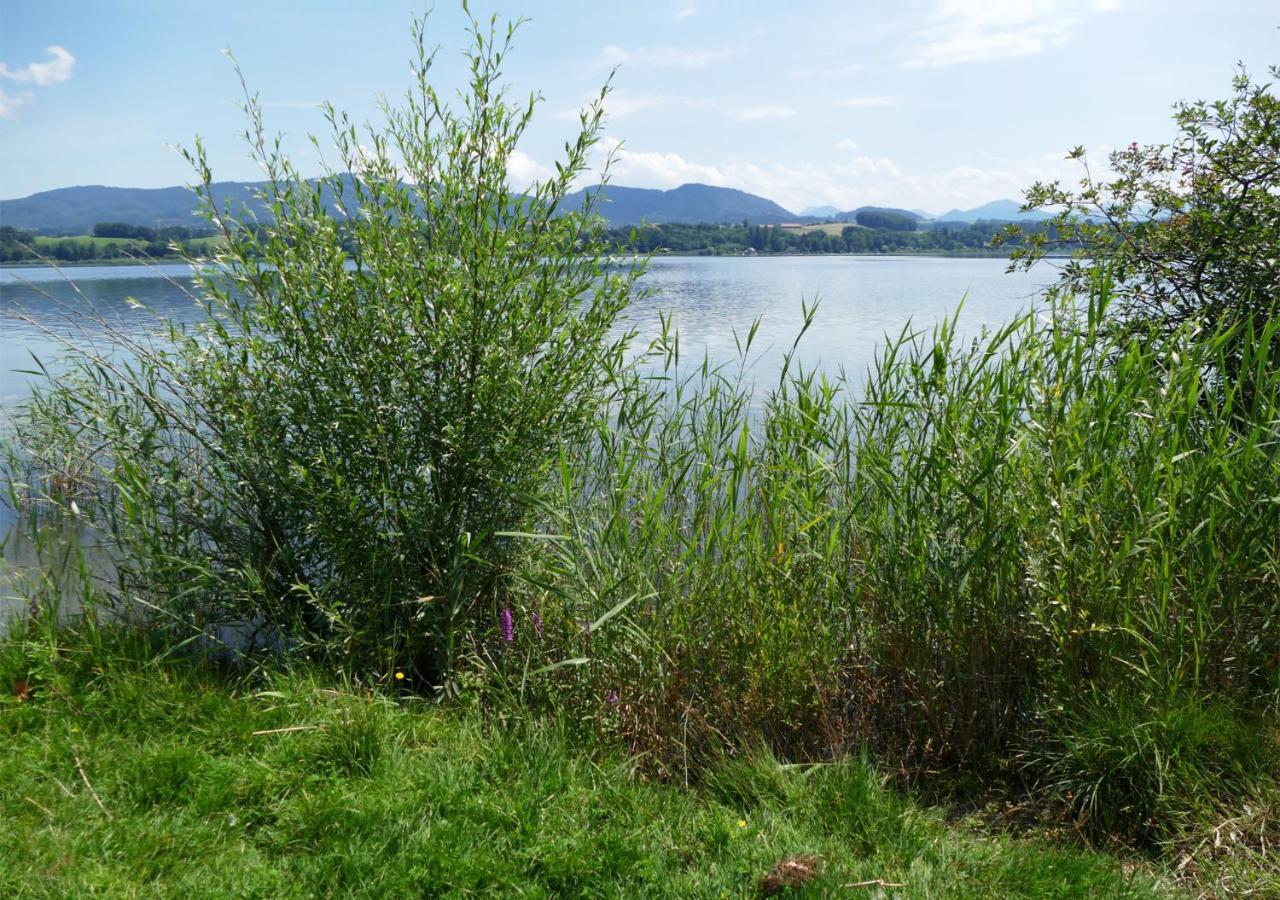 Refugio Del Lago Seekirchen am Wallersee Bagian luar foto