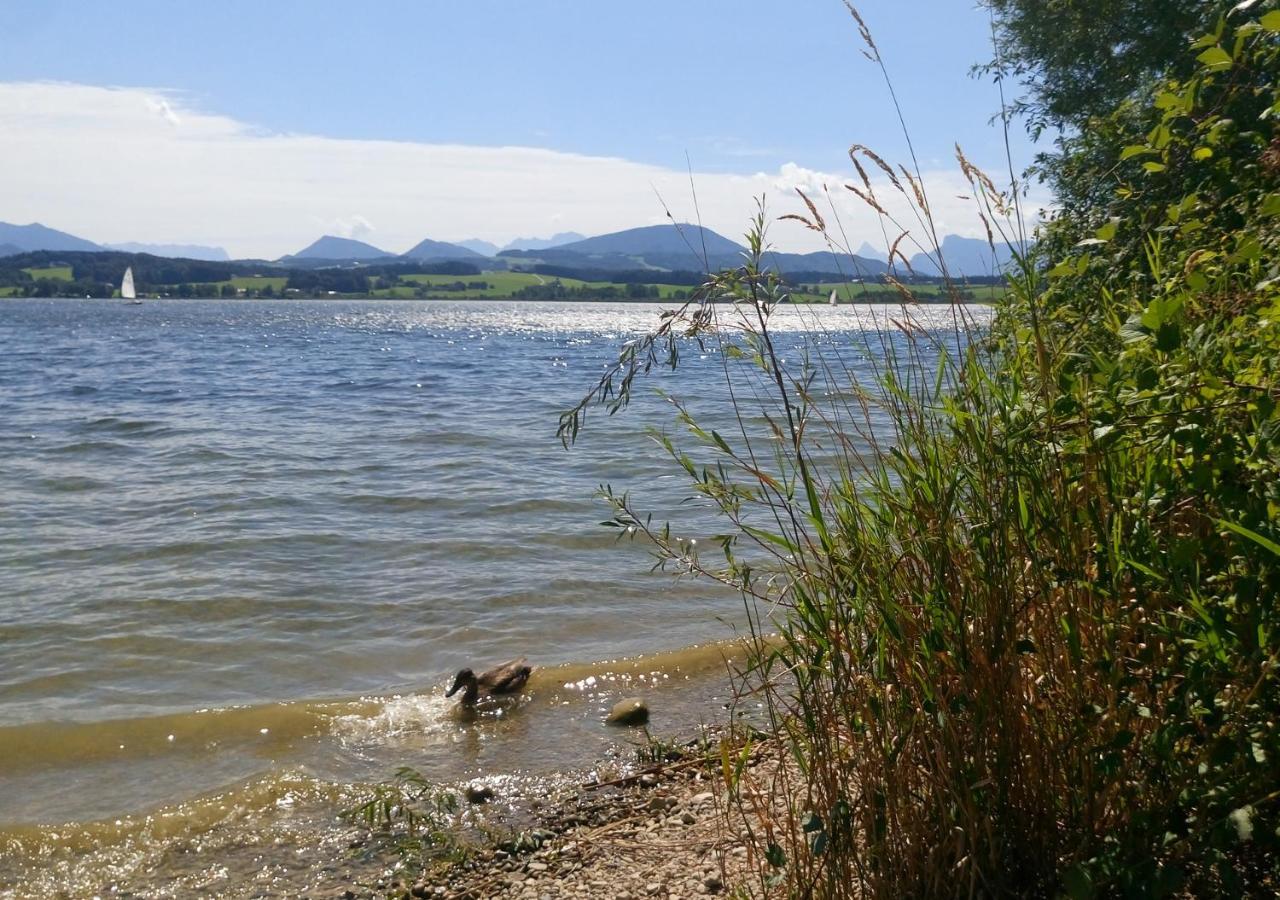 Refugio Del Lago Seekirchen am Wallersee Bagian luar foto